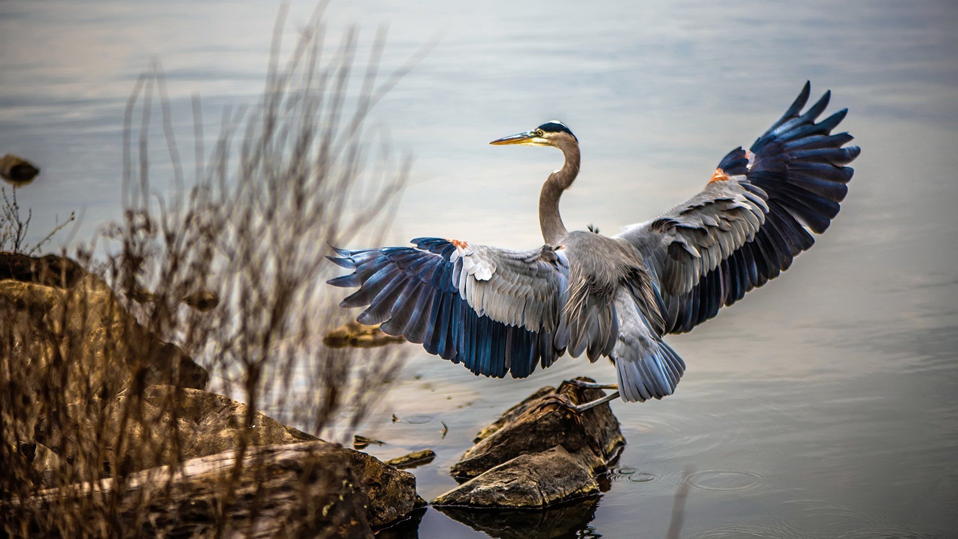 决赛战术分析:切尔西进攻更具威胁,切尔西决赛首发