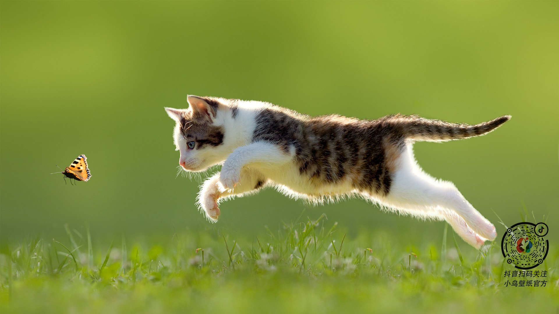 国家女篮全力备战世界级赛事目标明确，女蓝国家队