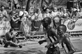 开云体育官方入口-马拉松赛事组织更加规范，马拉松比赛组织